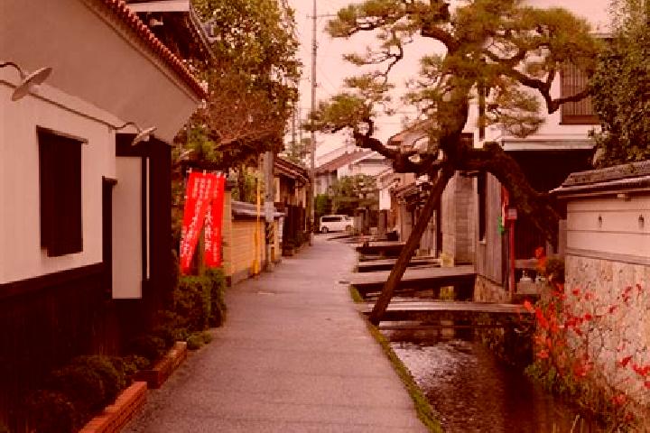 Grace, 21 — Escort in Kurayoshi, Japan
