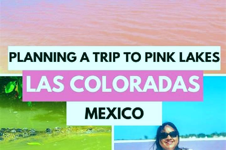 Grace, 21 — Escort in Tierras Coloradas, Mexico
