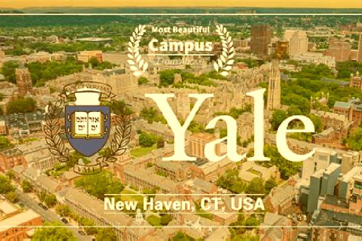 Grace, 21 — Escort in Yale, United States
