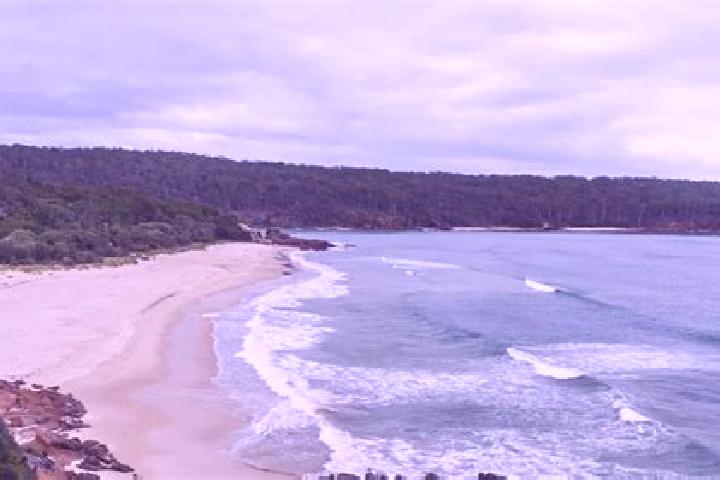 Grace, 22, a chestnut blue-eyed caucasian companion based in Pambula Beach. Offering Overnight, Prostate Massage, Erotic Massage. Available for incall and ou...