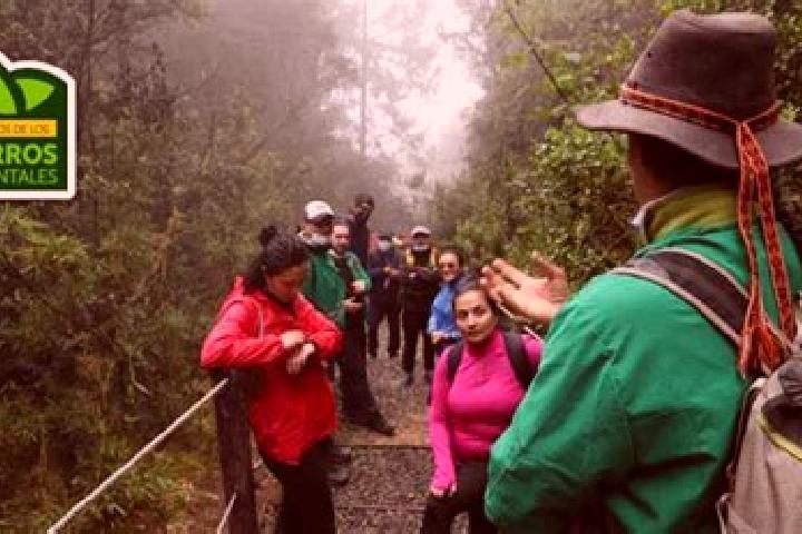Grace, 22 — Escort in Alto de la Cruz, Peru