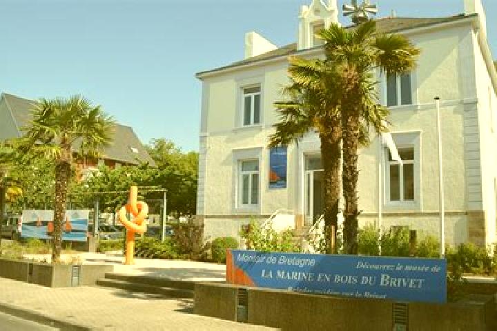 Grace, 22 — Escort in Montoir-de-Bretagne, France
