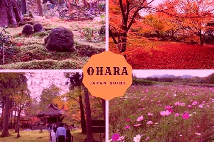 Grace, 22 — Escort in Ohara, Japan