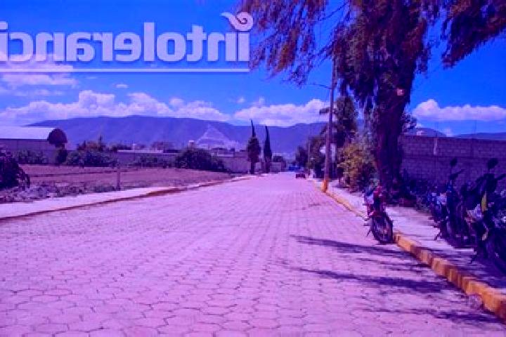 Grace, 22 — Escort in Palmarito Tochapan, Mexico