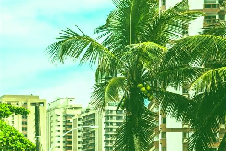 Grace, 23 — Escort in Vista Alegre do Prata, Brazil