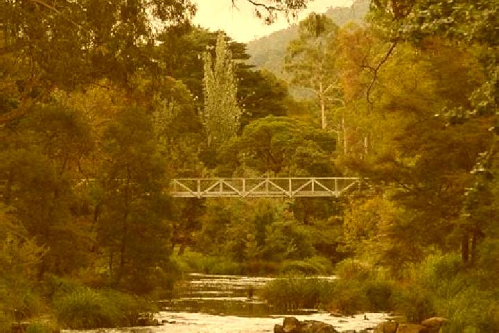 Grace, 23 — Escort in Warburton, Australia
