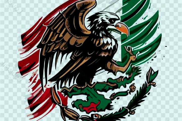 Grace, 24 — Escort in Paso del Aguila, Mexico