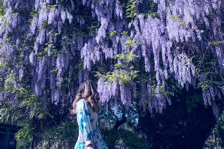 Grace, 24 — Escort in Schitu Scoicesti, Romania
