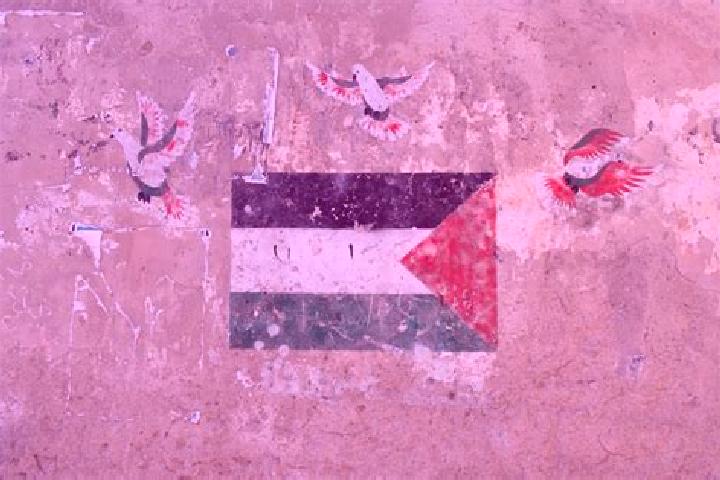 Grace, 25 — Escort in Ash Shuhada , Palestine