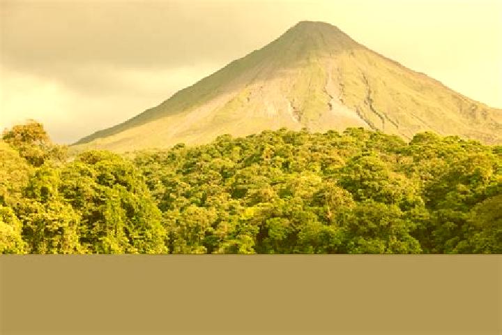Grace, 26 — Escort in Arenal de Alvarez (Arenal de Paco), Mexico