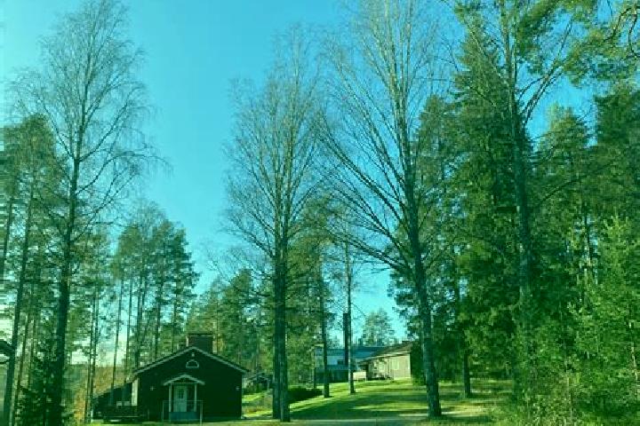 Grace, 26 — Escort in Sulkava, Finland