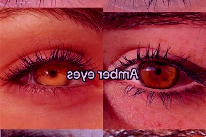 Grace, 27, a chestnut amber-eyed slavic companion based in Rangia. Offering GFE, CIM, Couples. Available for incall and outcall, overnight bookings available.