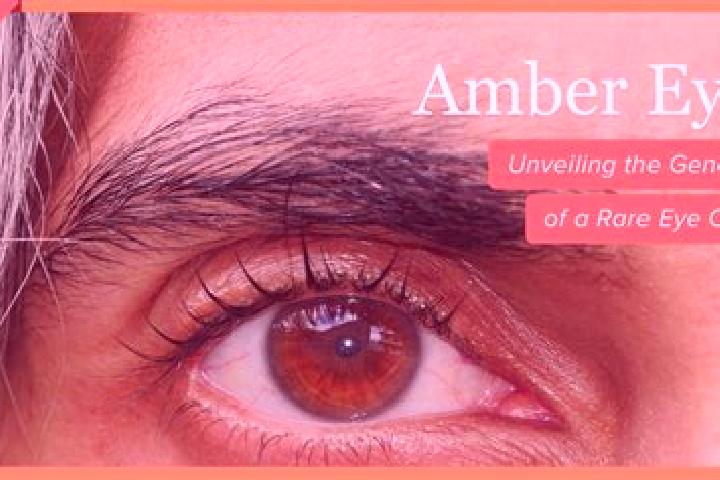 Grace, 27, a red amber-eyed caucasian companion based in Kupang. Offering Travel Companion, Overnight, Couples. Available for incall and outcall, overnight b...