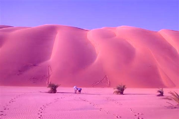 Grace, 27 — Escort in Ouad Naga, Mauritania