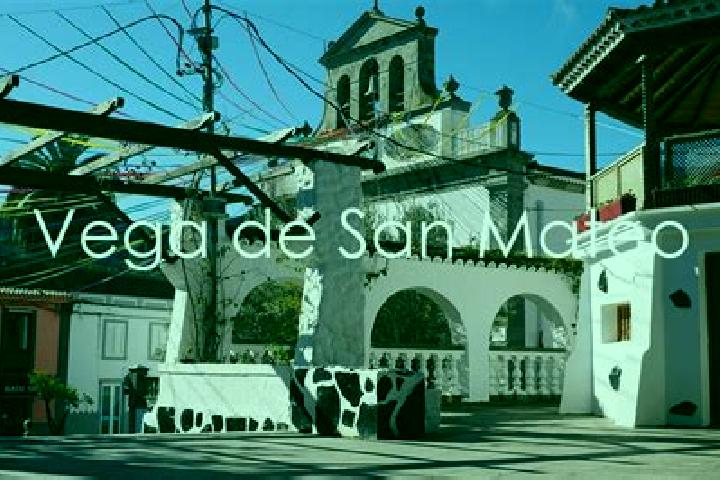 Grace, 27 — Escort in Vega de San Mateo, Spain