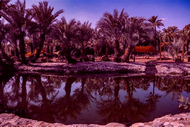 Grace, 28 — Escort in Al-Kharijah, Egypt