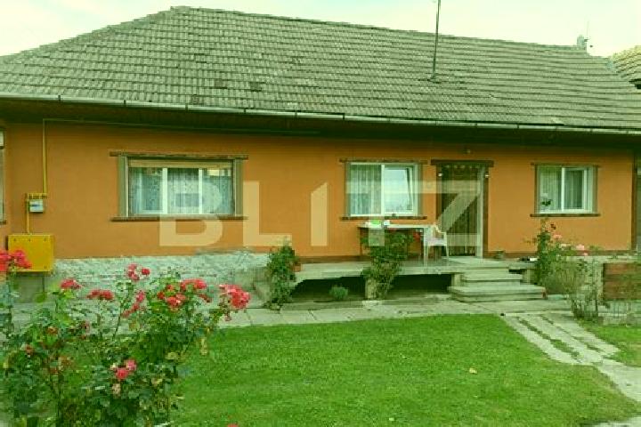 Grace, 28 — Escort in Cuciulata, Romania