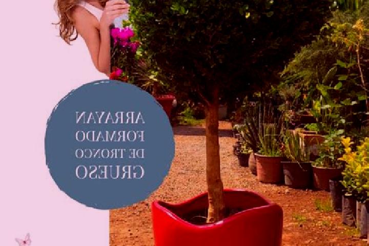 Grace, 28 — Escort in El Arrayan, Mexico