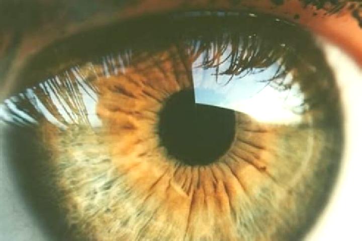 Grace, 30, a dark blonde hazel-eyed caribbean companion based in Bukor. Offering Fetish, Striptease, Party Girl, Prostate Massage. Available for incall and o...