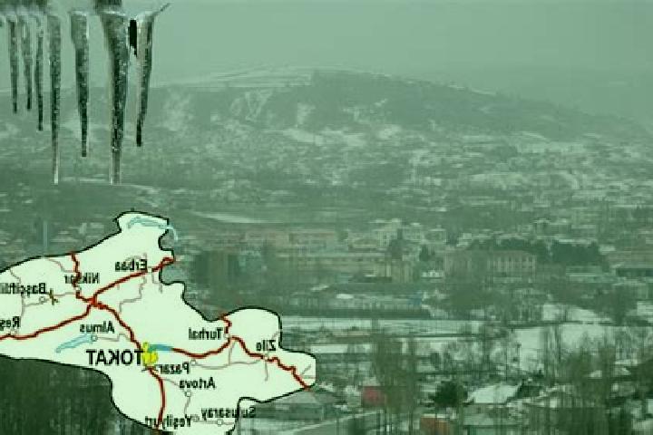 Grace, 30 — Escort in Artova, Turkey