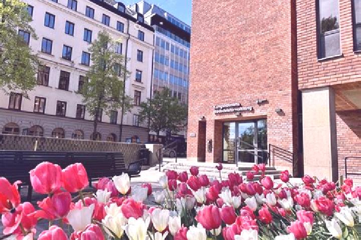 Grace, 30 — Escort in Kungsholmen, Sweden