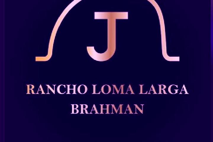 Grace, 30 — Escort in Loma Larga, Mexico