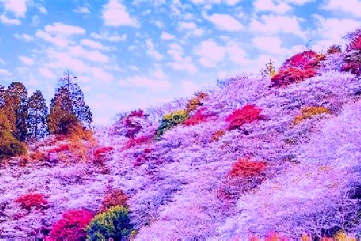 Grace, 30 — Escort in Obara, Japan