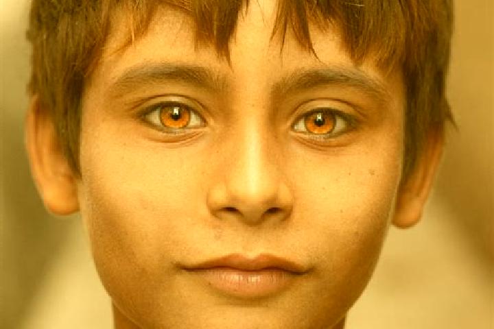 Grace, 31, a red amber-eyed indian companion based in Cassine. Offering Dinner Date, BDSM. Available for incall and outcall, overnight bookings available.