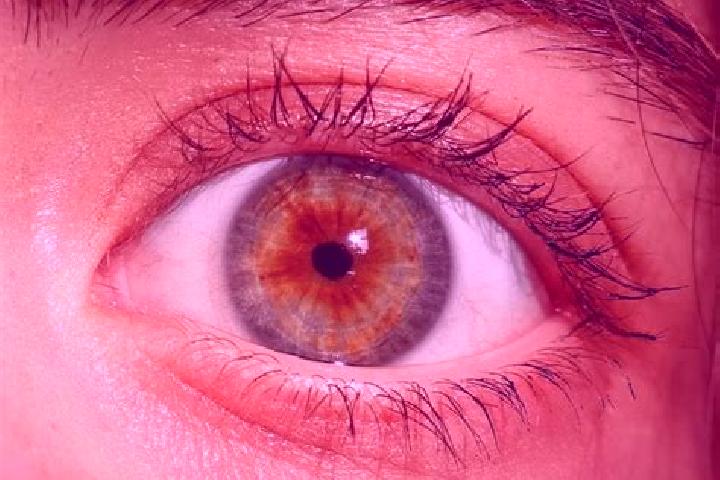 Grace, 31, a red hazel-eyed middle eastern companion based in Glastonbury. Offering Fetish, Travel Companion, GFE. Available for incall and outcall, overnigh...
