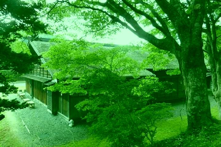 Grace, 32 — Escort in Kitahiroshima, Japan