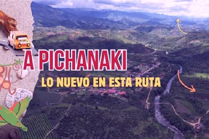 Grace, 33 — Escort in Bajo Pichanaqui, Peru
