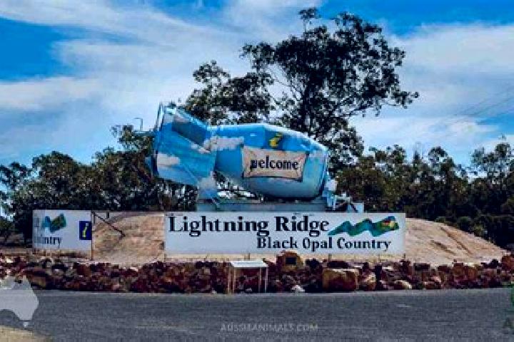 Grace, 33 — Escort in Lightning Ridge, Australia