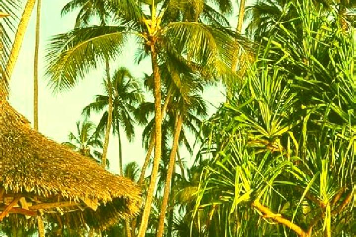 Grace, 34 — Escort in Igurubi, Tanzania