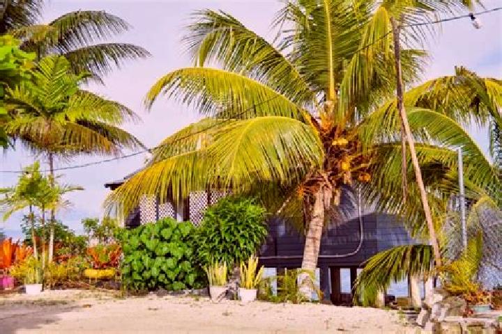 Grace, 34 — Escort in Matautu, Samoa