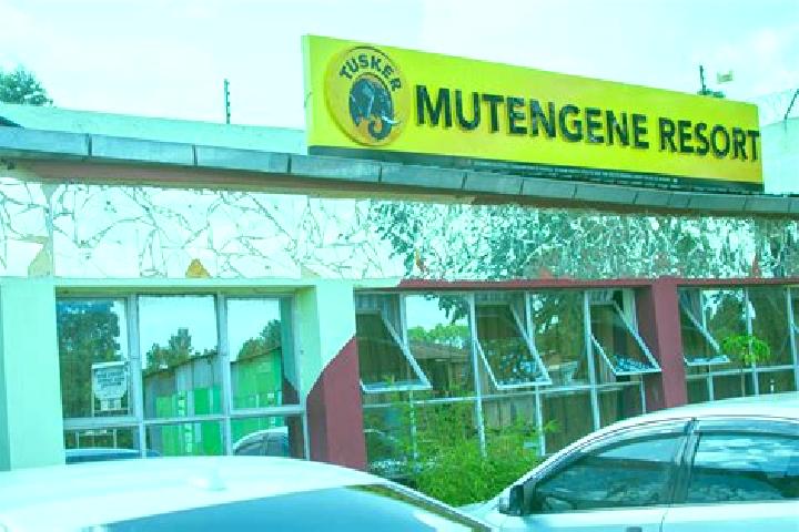 Grace, 34 — Escort in Mutengene, Cameroon
