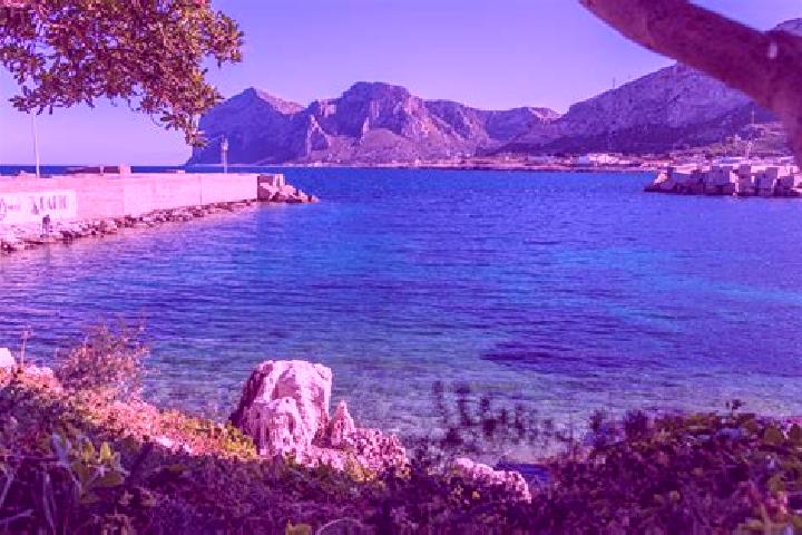 Grace, 35 — Escort in Isola delle Femmine, Italy