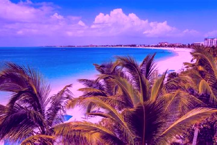 Grace, 35 — Escort in Kew, Turks and Caicos Islands