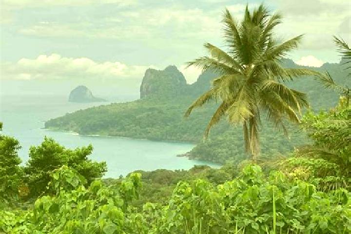 Grace, 35 — Escort in Micolo, Sao Tome and Principe