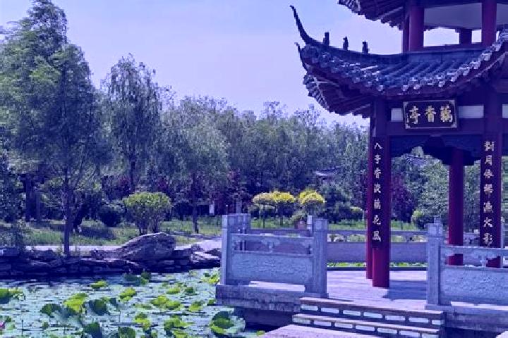 Grace, 36 — Escort in Nenjiang, China