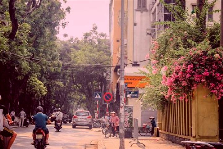 Grace, 37 — Escort in Cau Giat, Vietnam