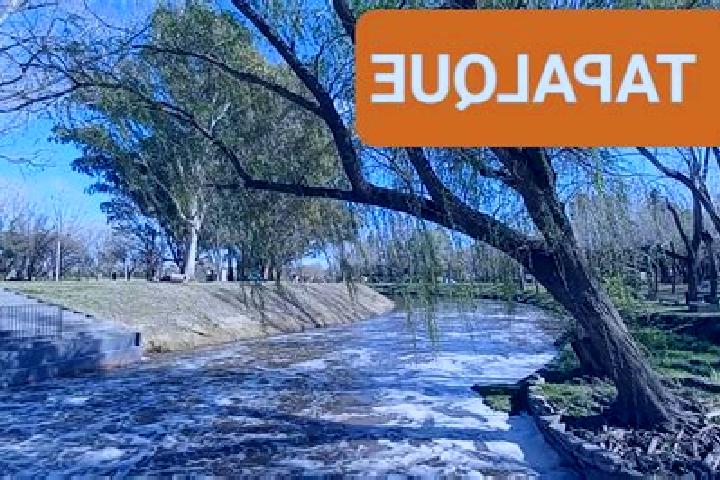 Grace, 37 — Escort in Tapalque, Argentina