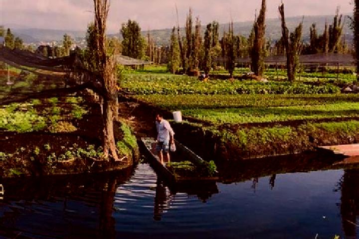 Grace, 38 — Escort in Chinampas, Mexico