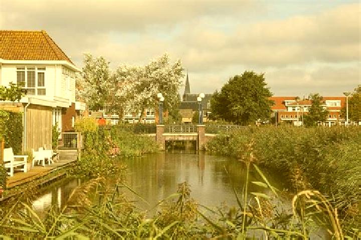 Grace, 38 — Escort in Egmond aan den Hoef, Netherlands