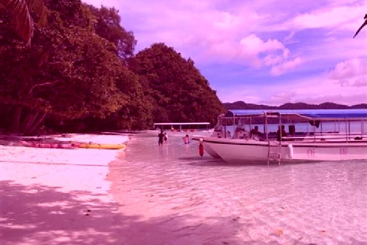 Grace, 38 — Escort in Ngerbeched Hamlet, Palau