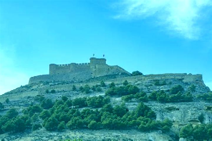 Grace, 39 — Escort in Fuentealbilla, Spain