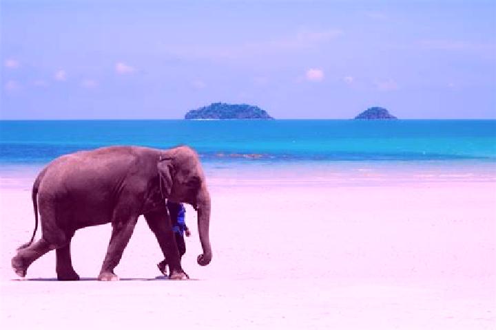Grace, 39 — Escort in Ko Chang, Thailand