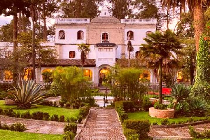 Grace, 39 — Escort in La Penuela, Mexico
