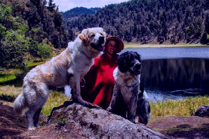 Grace, 39 — Escort in Mucuchies, Venezuela