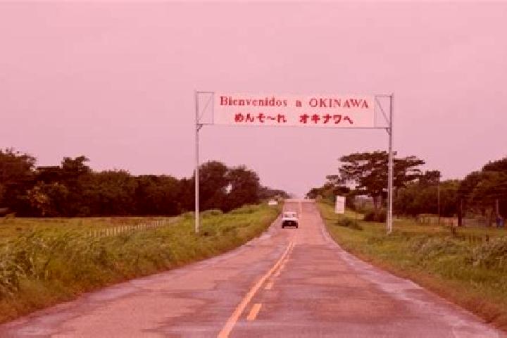 Grace, 39 — Escort in Okinawa Numero Uno, Bolivia