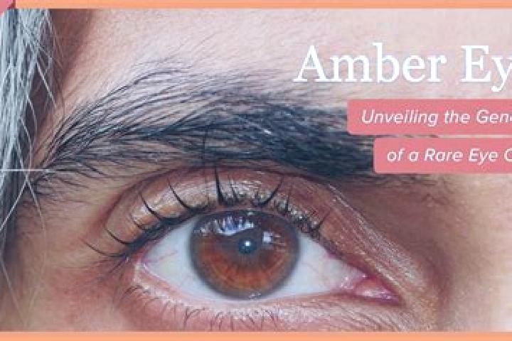 Hannah, 20, a red amber-eyed middle eastern companion based in Hellenhahn-Schellenberg. Offering GFE, Girlfriend Experience, Roleplay, Duos. Available for in...